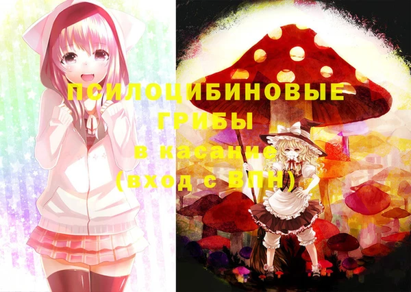 ГАЛЛЮЦИНОГЕННЫЕ ГРИБЫ Богородск