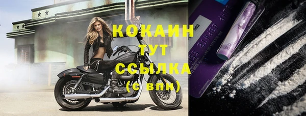 прущая мука Богородицк